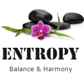 Entropy